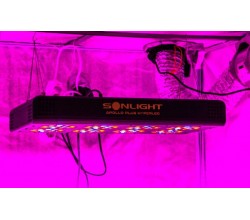 Led Apollo PLUS Hyperled Sonlight 6 (96x3w) 288W - Agro